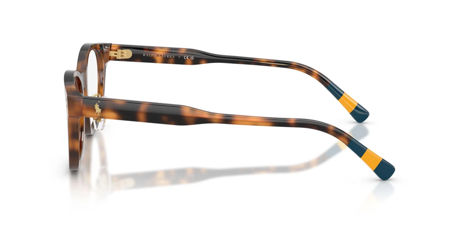 Polo 2303F Eyeglasses - view 7